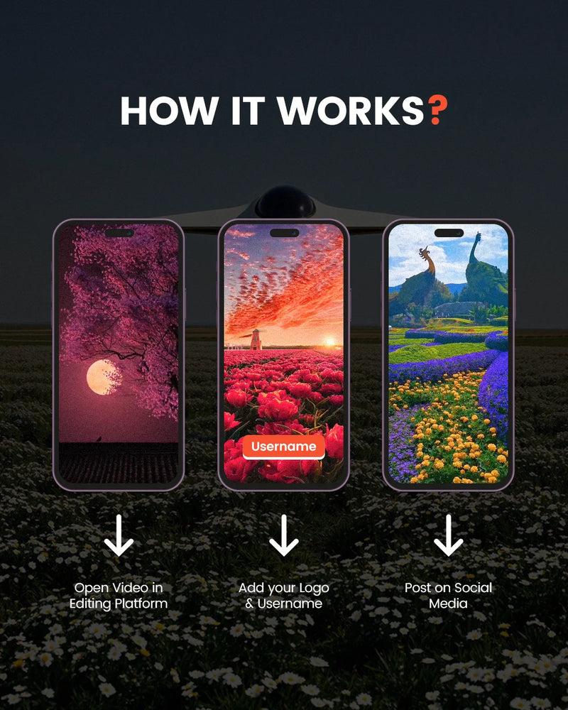 1850+ Premium Nature Aesthetic Reels + Free Canva Pro
